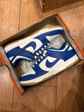 Nike Dunk Low 🎁