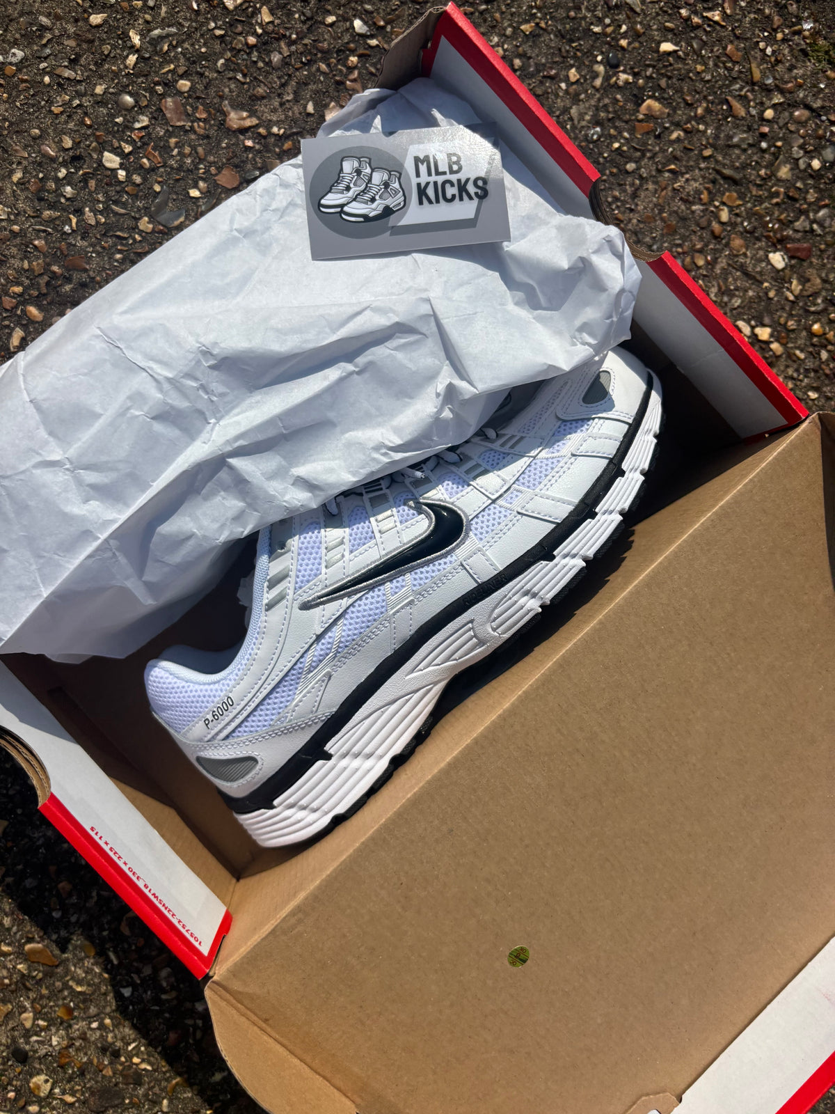 Nike P-6000 ‘Metallic Silver’